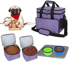 Pet Travel Accessorie Market Trends, Growth, and Forecast To2032