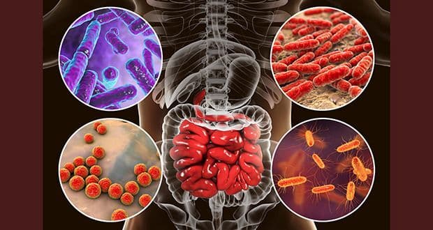 Microbial Therapeutic Products Market Size, Share and Forecast