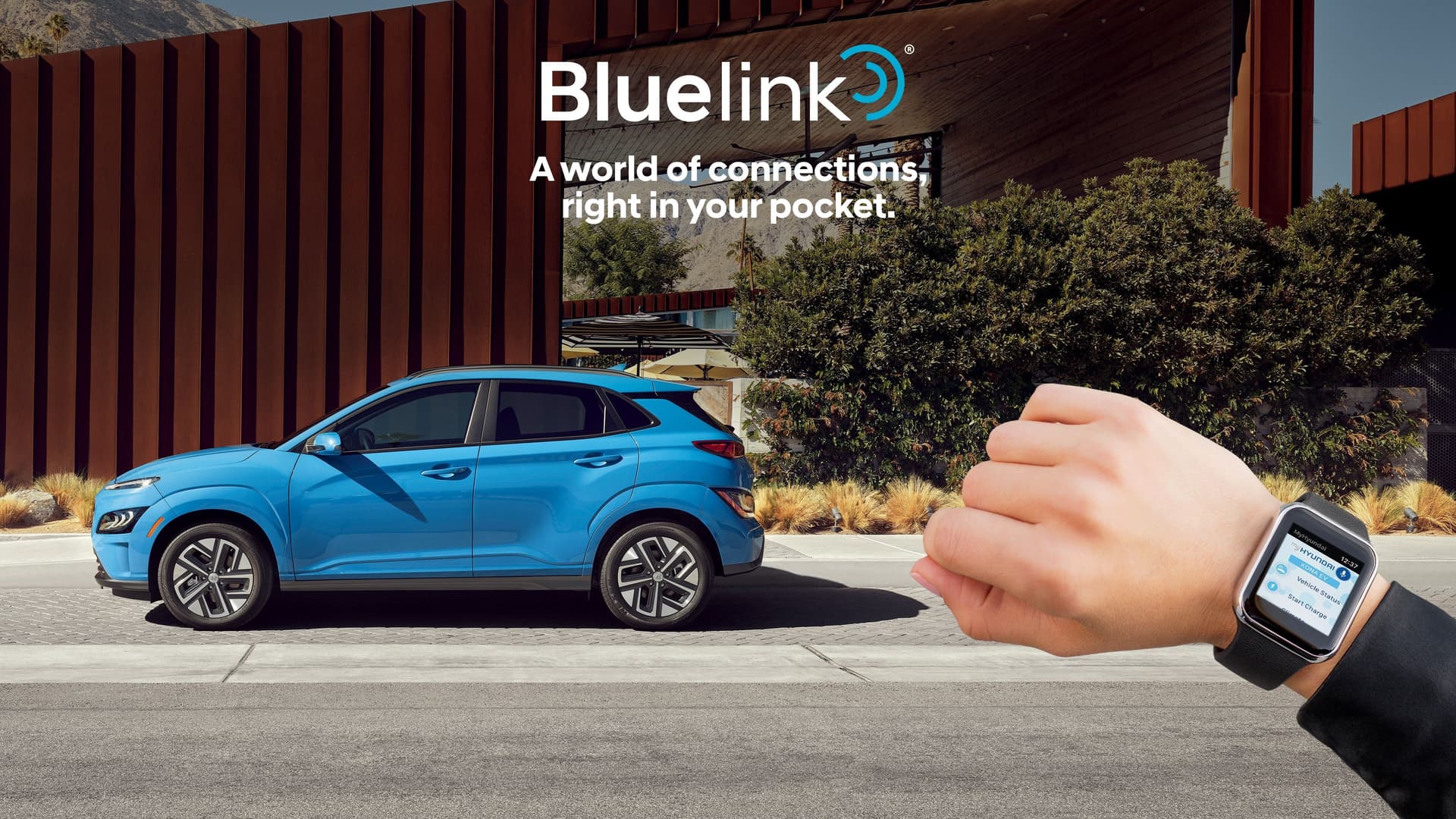 Exploring the Convenience and Safety of Hyundai Blue Link