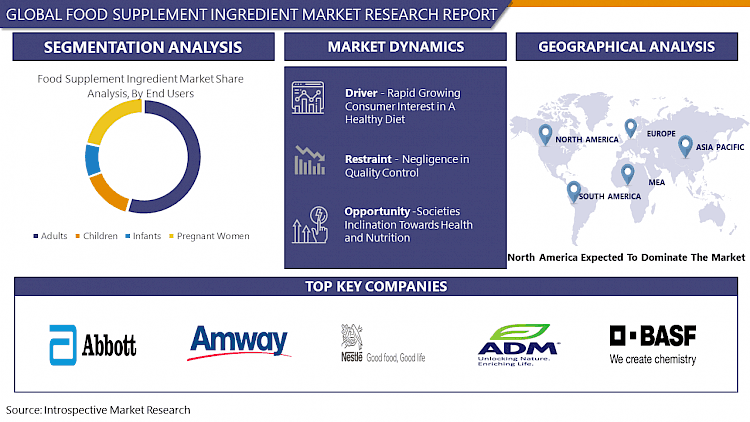 Food Supplement Ingredient Market Growth