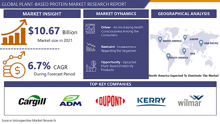 Plant-Based Protein Market