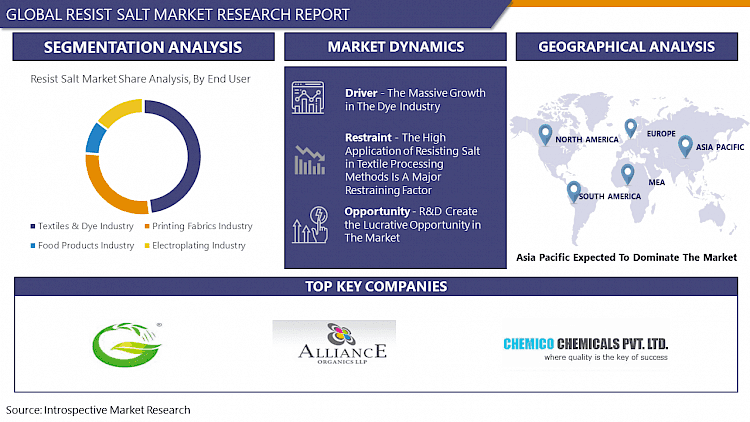 Resist Salt Market Growth Strategies