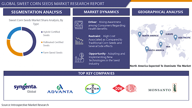 Sweet Corn Seeds Global Industry Analysis