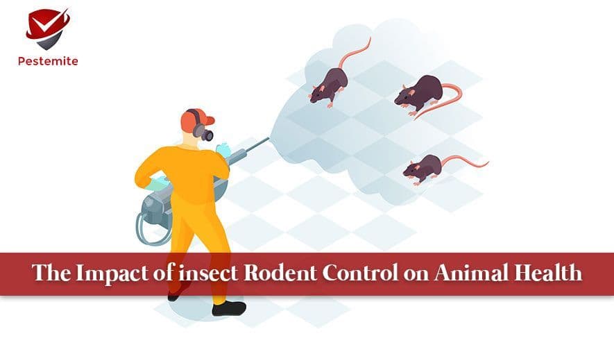 The Impact of Insect Rodent Control on Animal Health
