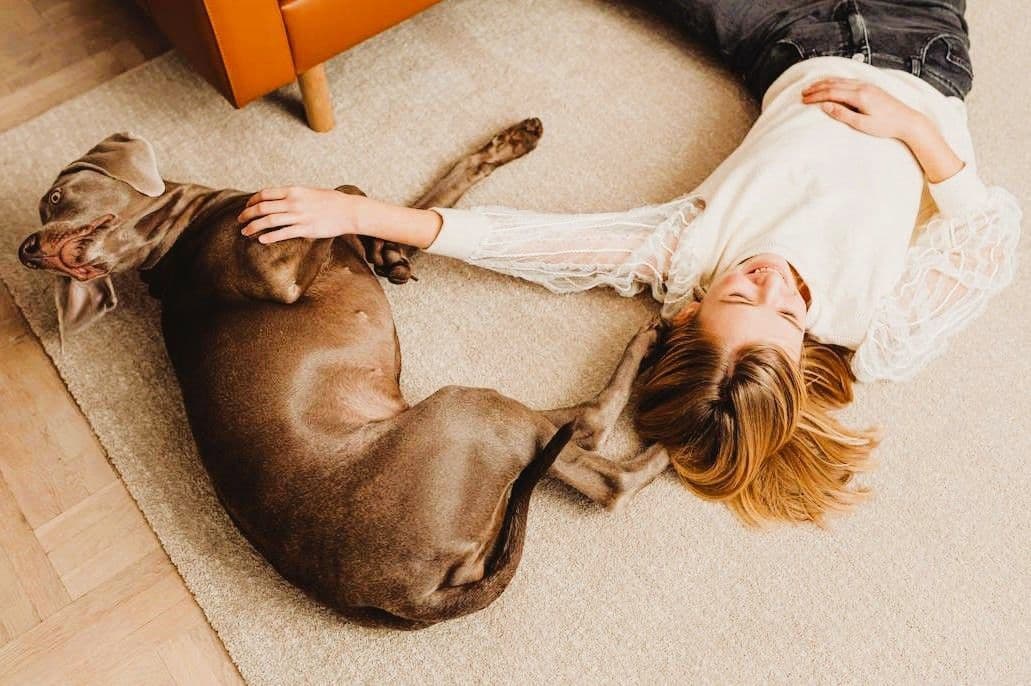 Top Tips for Maintaining Clean Carpets in Pet-Friendly Homes