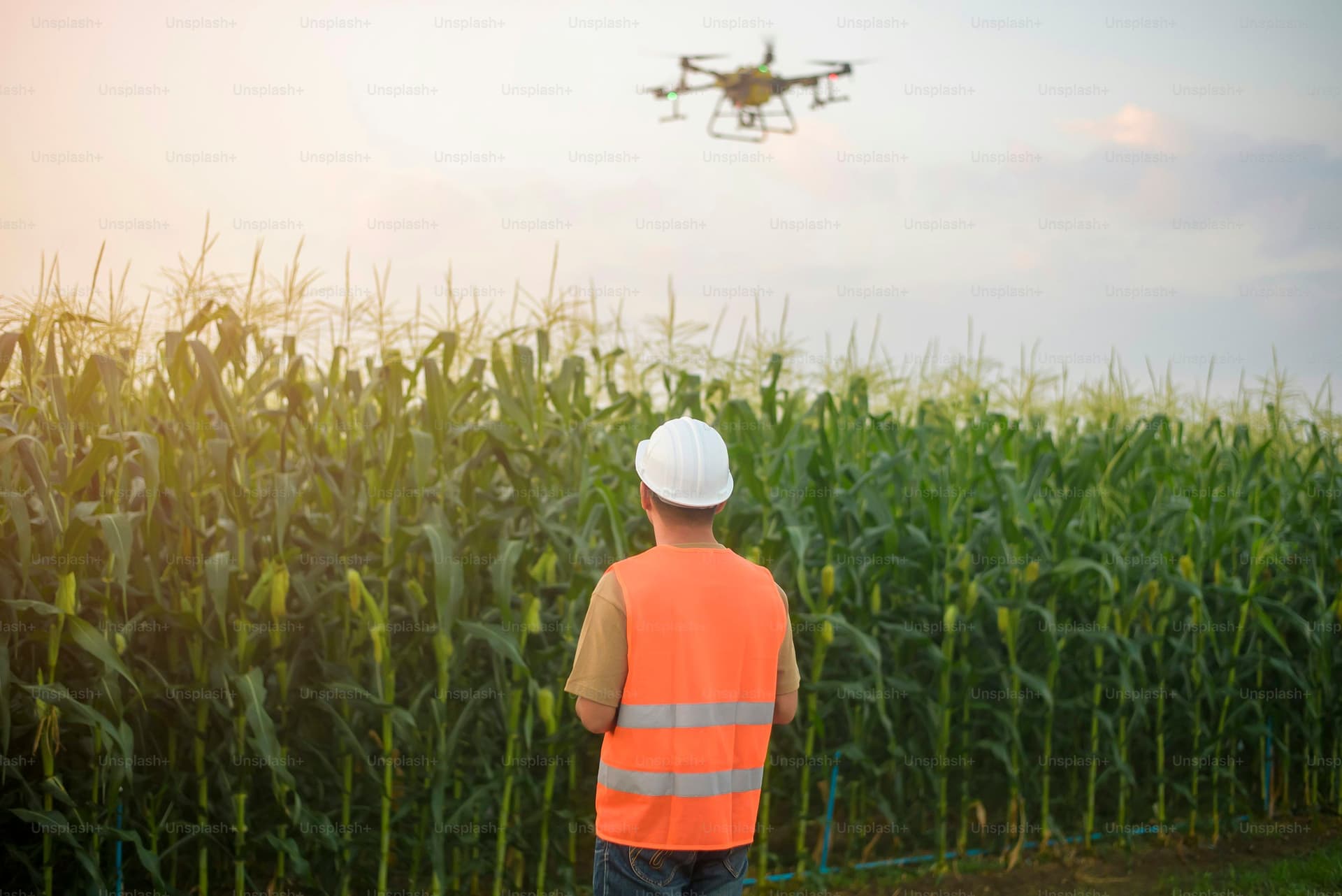 How Drone Spraying Helps Zaid Crop Farmers Beat the Heat Efficiently?